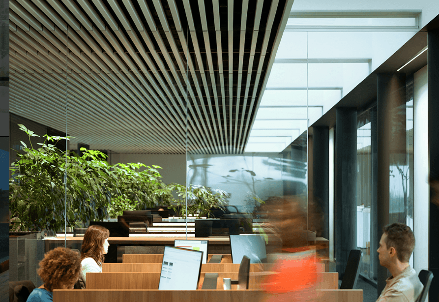 Dynamic picture of a cyclist riding downhill