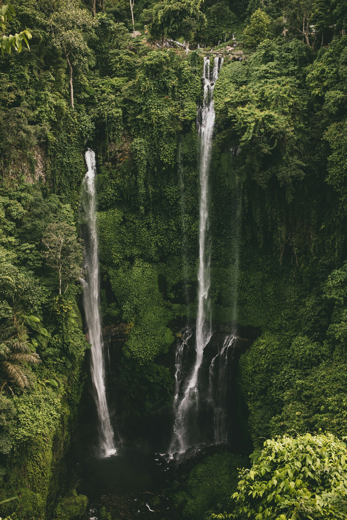 Twin cascading waterfalls in the Bali jungle