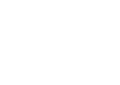 N17 Development Logo
