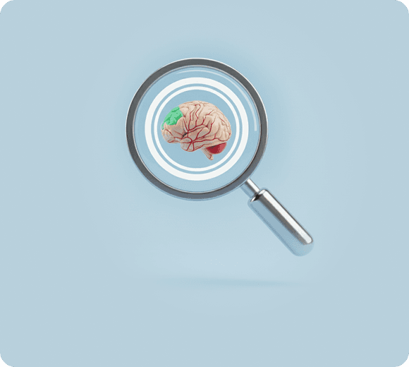 3D magnifying glass hovering over a human brain, symbolizing niche expertise and deep subject matter analysis.