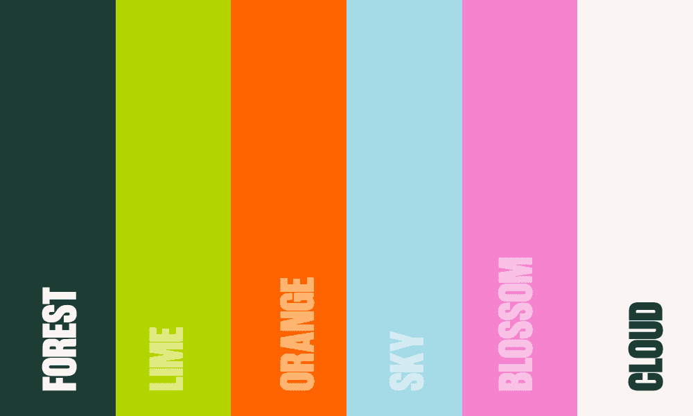 The brand color palette with their names.