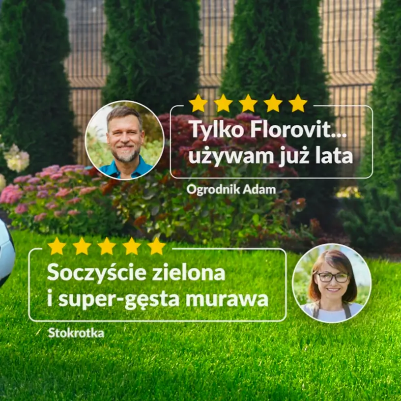 Opinie użytkowników o zielonym trawniku na tle ogrodu