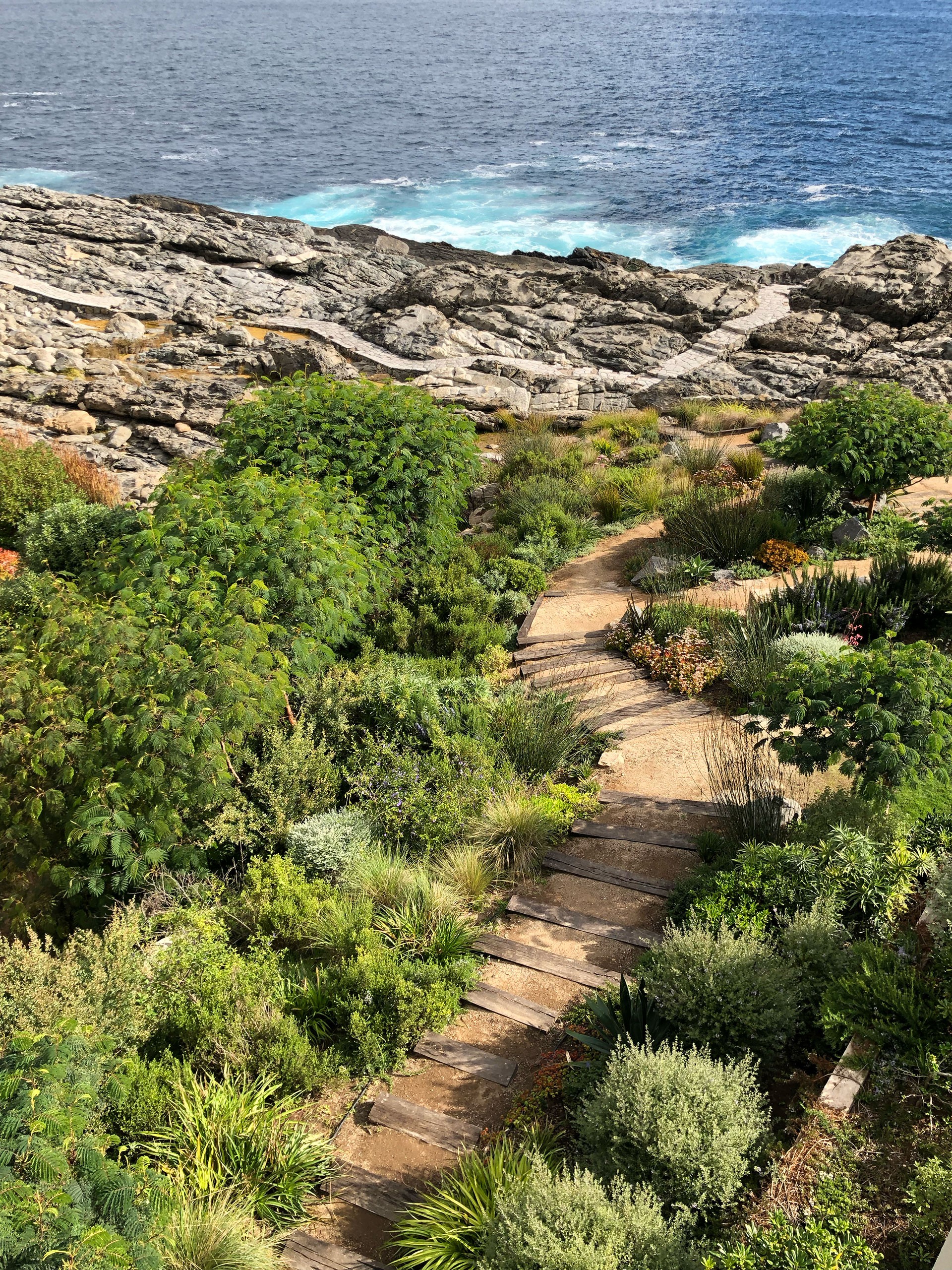 Carola Page Punta Pite Casa Nico