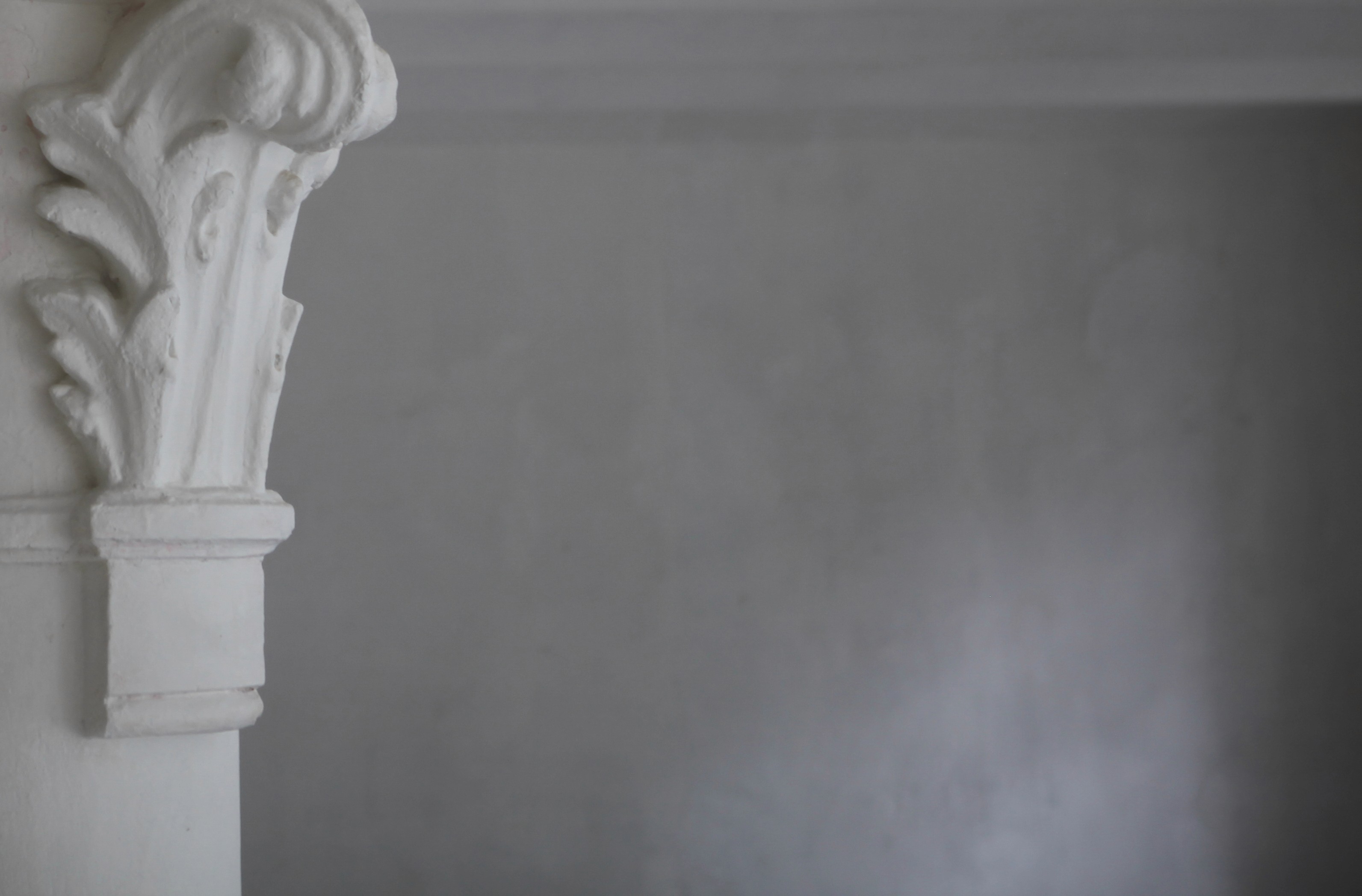 Mushroom Cacao, Vitamin D2, Dietary Fiber