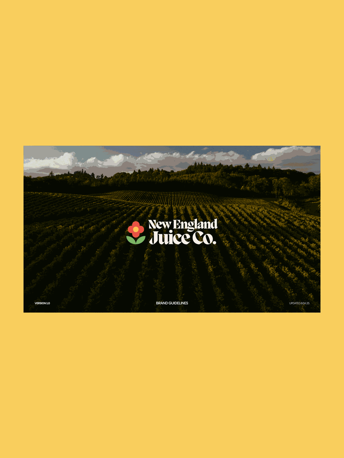 New England Juice Co. — Animated GIF of brand guidelines slides — Visual identity system