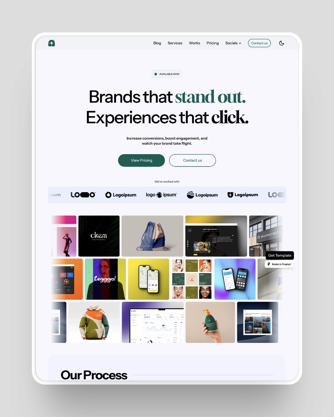 Web Design Agency Portfolio - Conversion-Focused