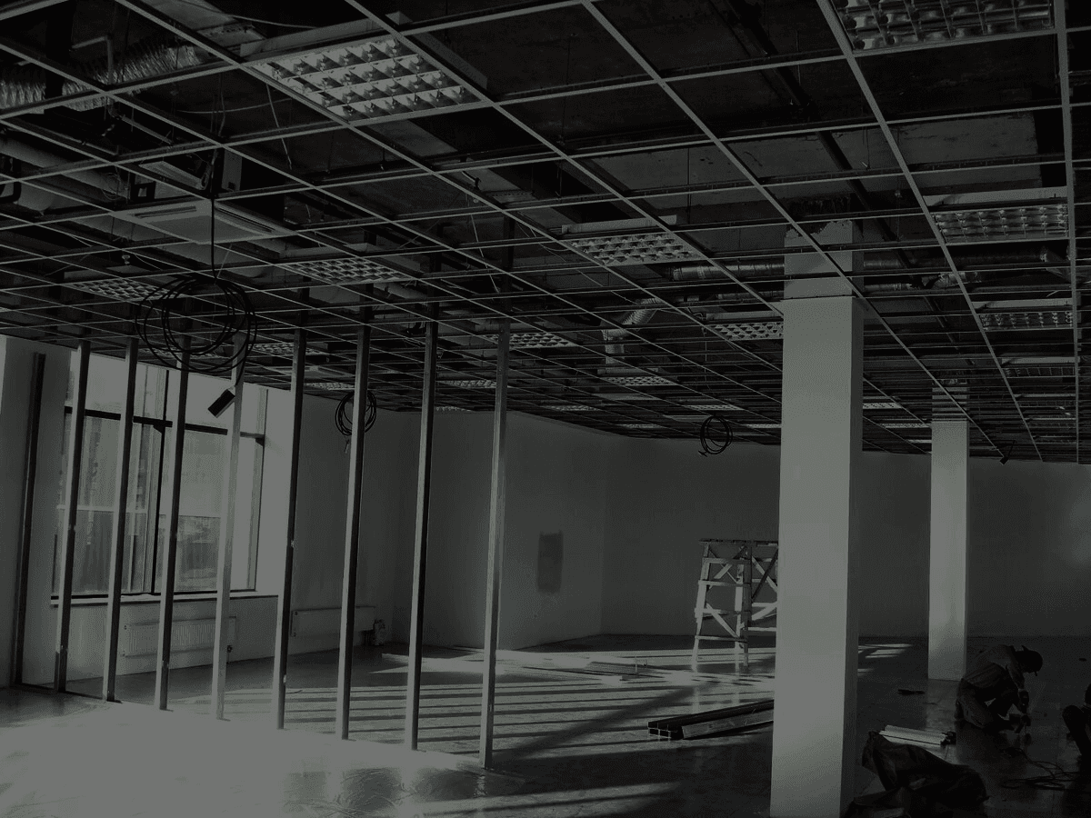 Detail of coniferous tree