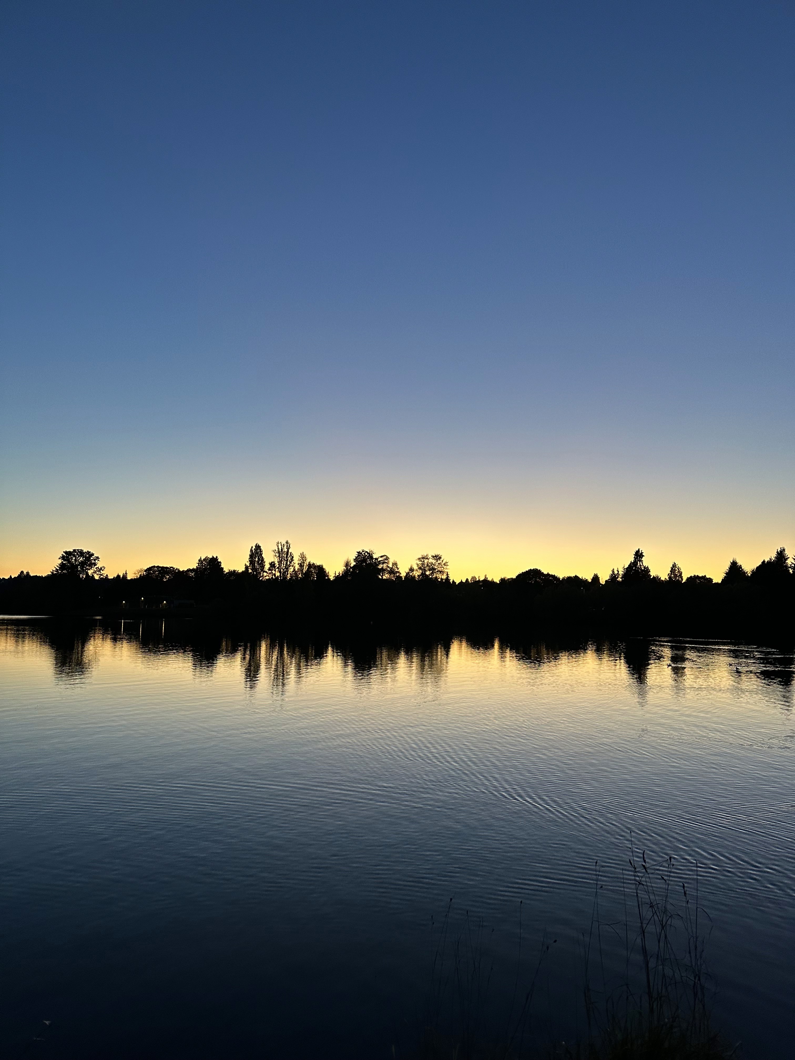 The sun setting on a lakeside.