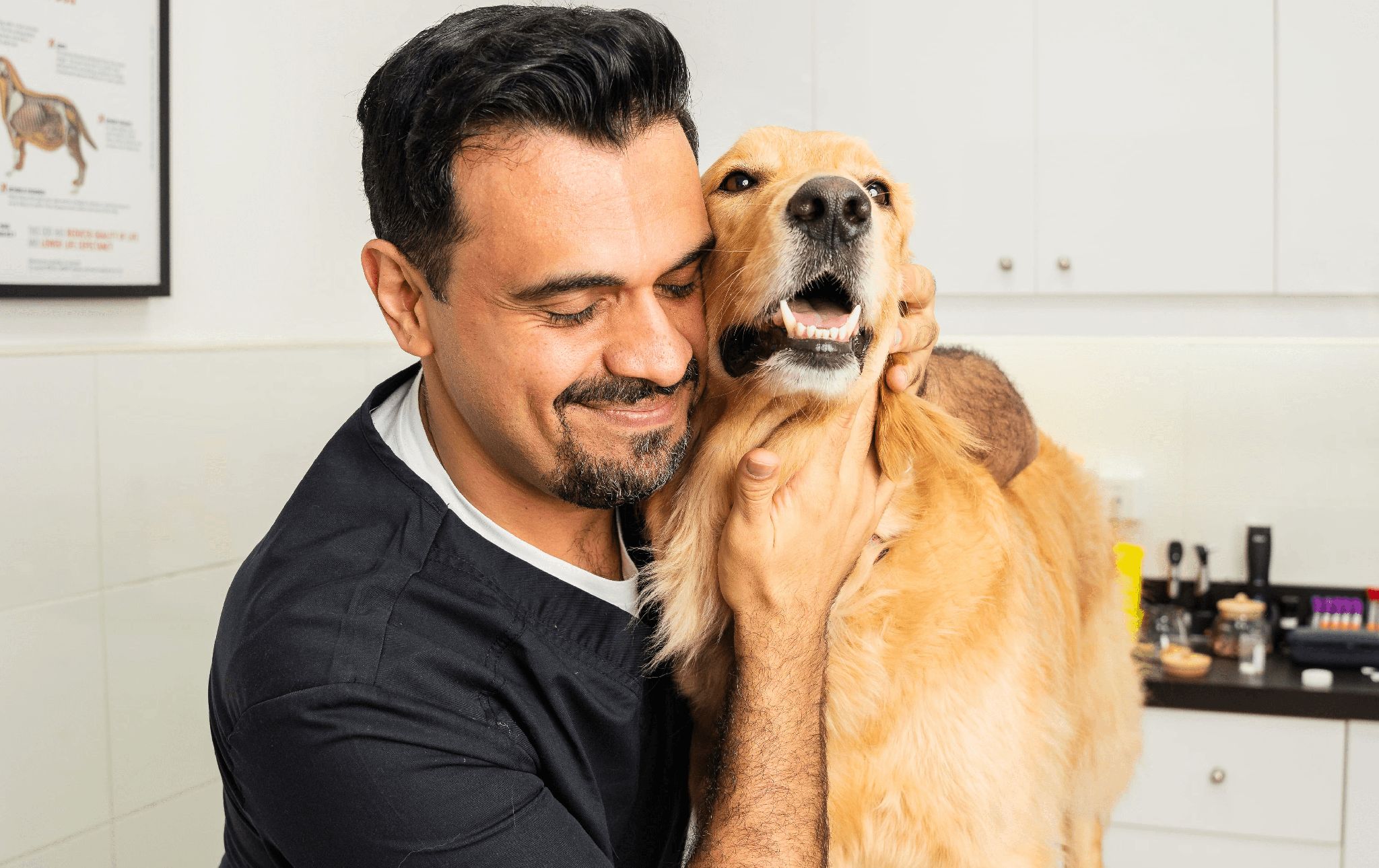 A veterinarian is helping a dog feel more comfortable by displaying affection.
