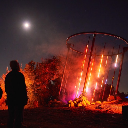 أسترا لومينا في ملاذ كورمبين للحياة البرية