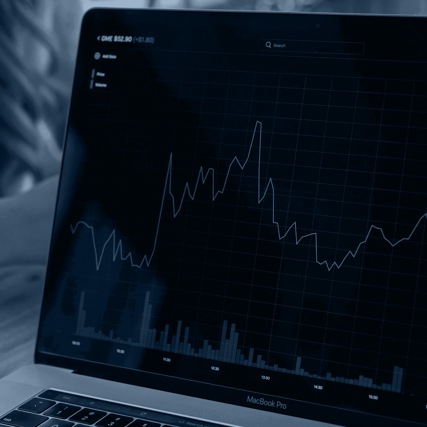 person managing their expenses on a laptop