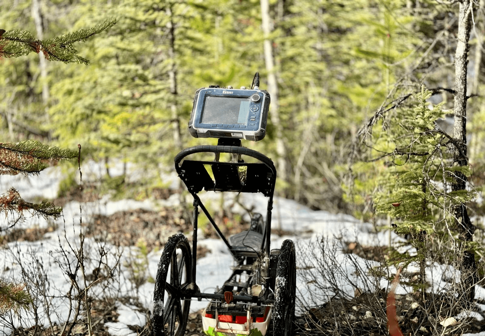 Lady focused doing studies on laptop