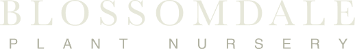 Lumen logo featuring a circular line symbol above the word “Lumen”