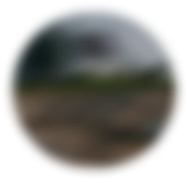 Petite église blanche en bord de mer, entourée de conifères, vue depuis un rivage rocheux sous une lumière douce.