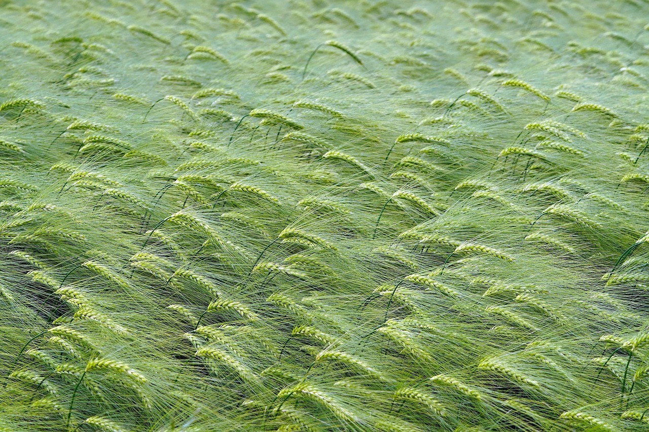 About me Photo Real Mehedi Free Framer Template Photography