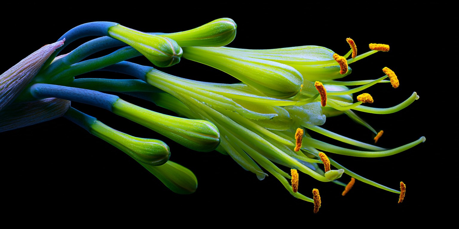 Maximize your ROI. Discover the 7 essential steps for a successful conversion funnel optimization and significantly increase your conversion rate (CVR).