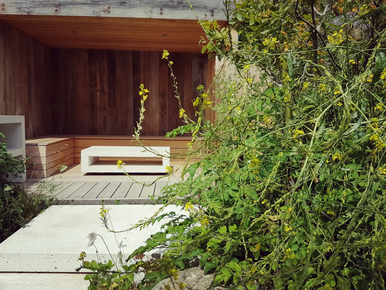 A charming entrance surrounded by greenery, leading to an inviting doorway with a welcoming atmosphere.