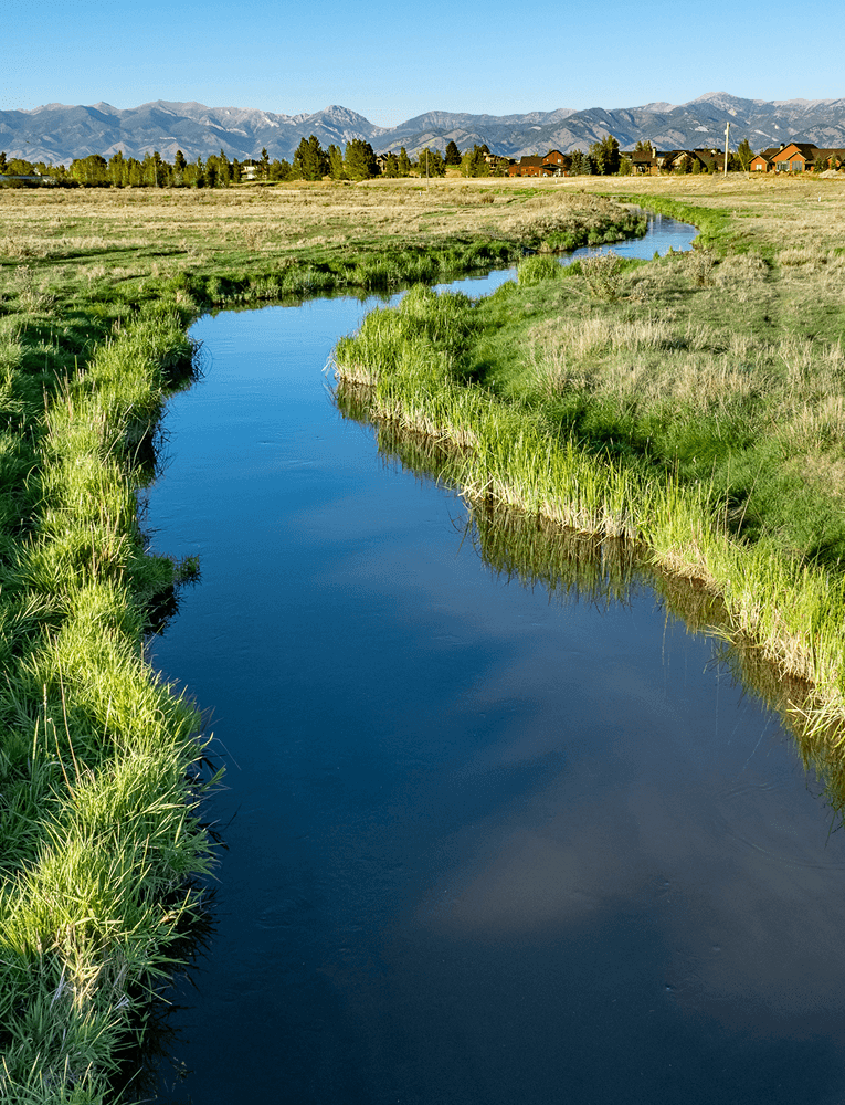 Live Water