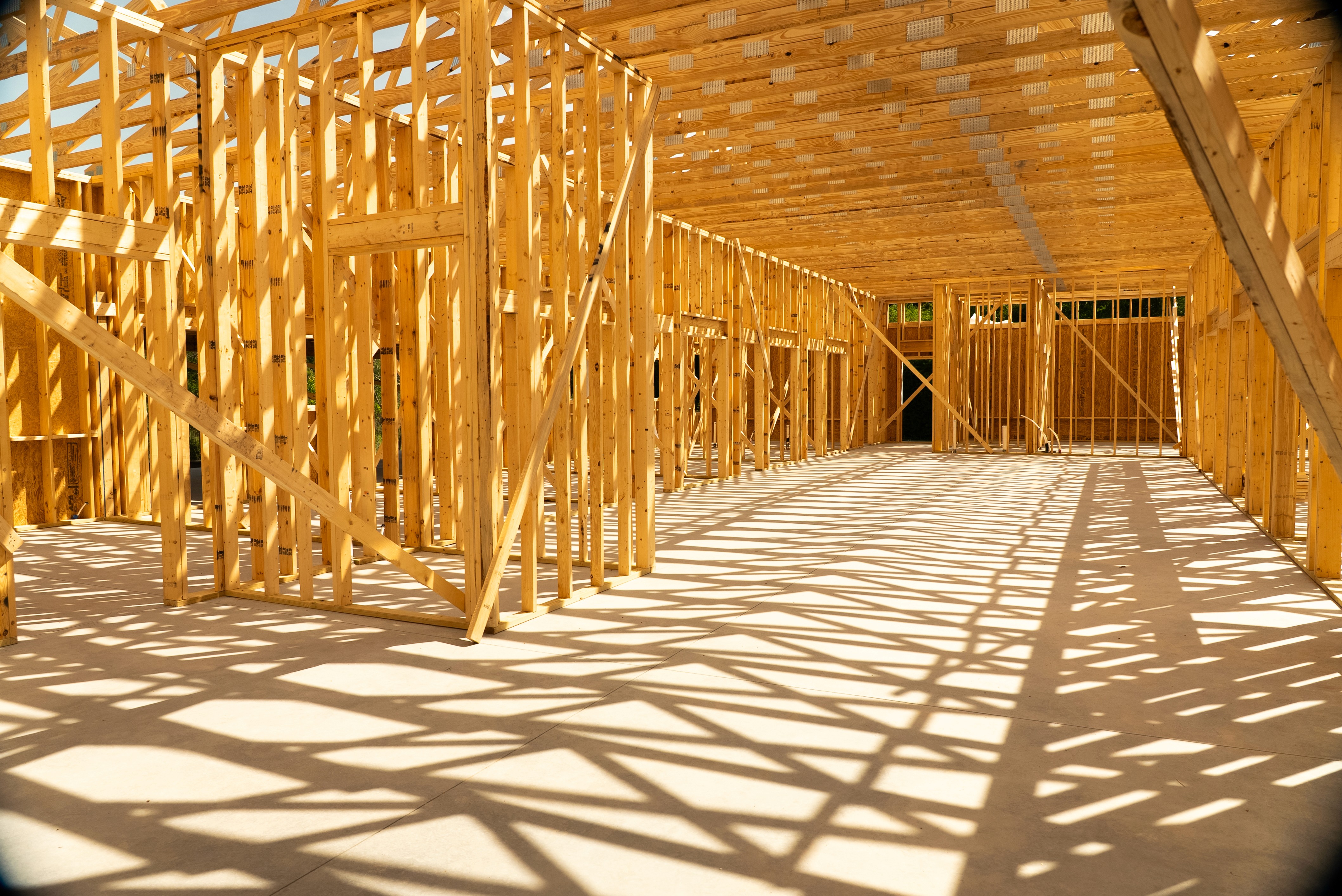 Gallery image 8