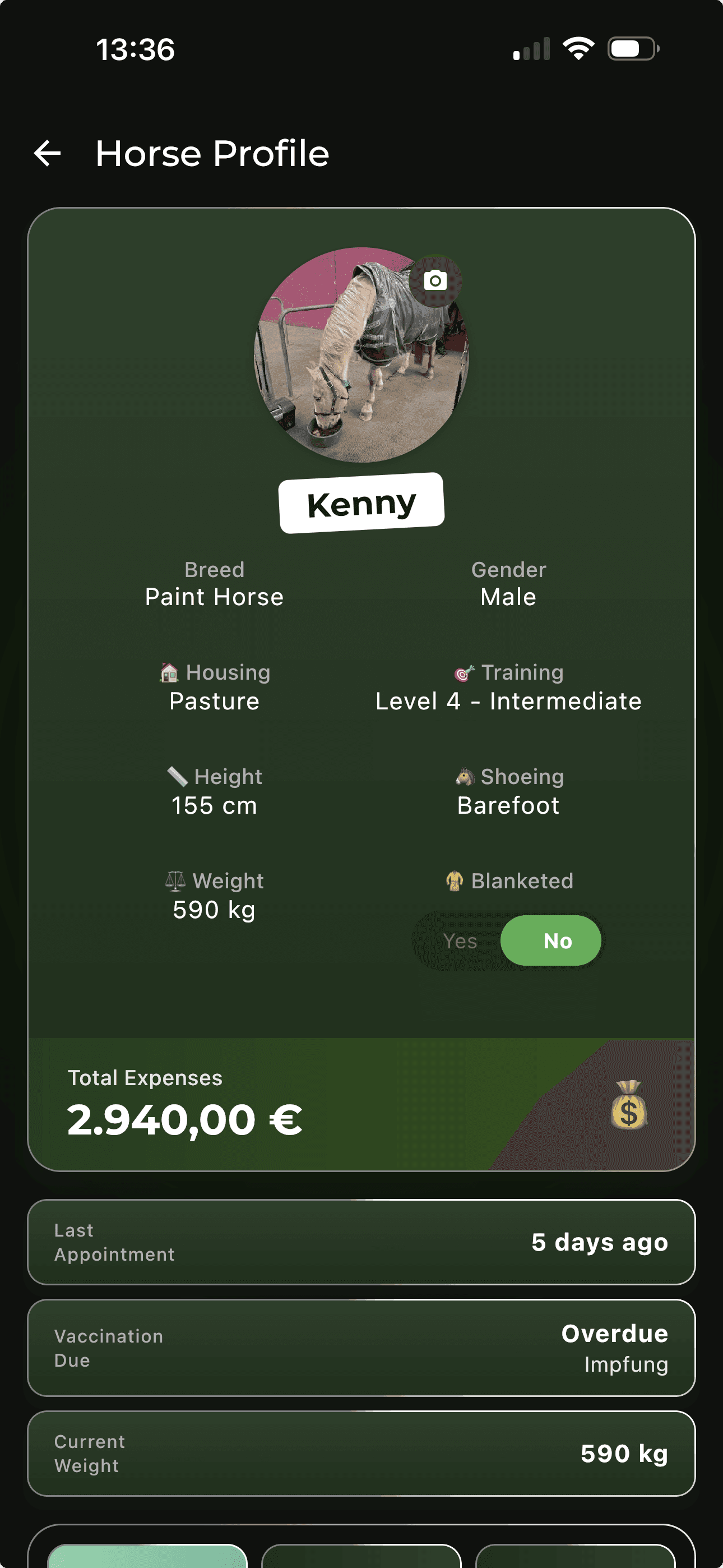 Horse Profile - ManeMap
