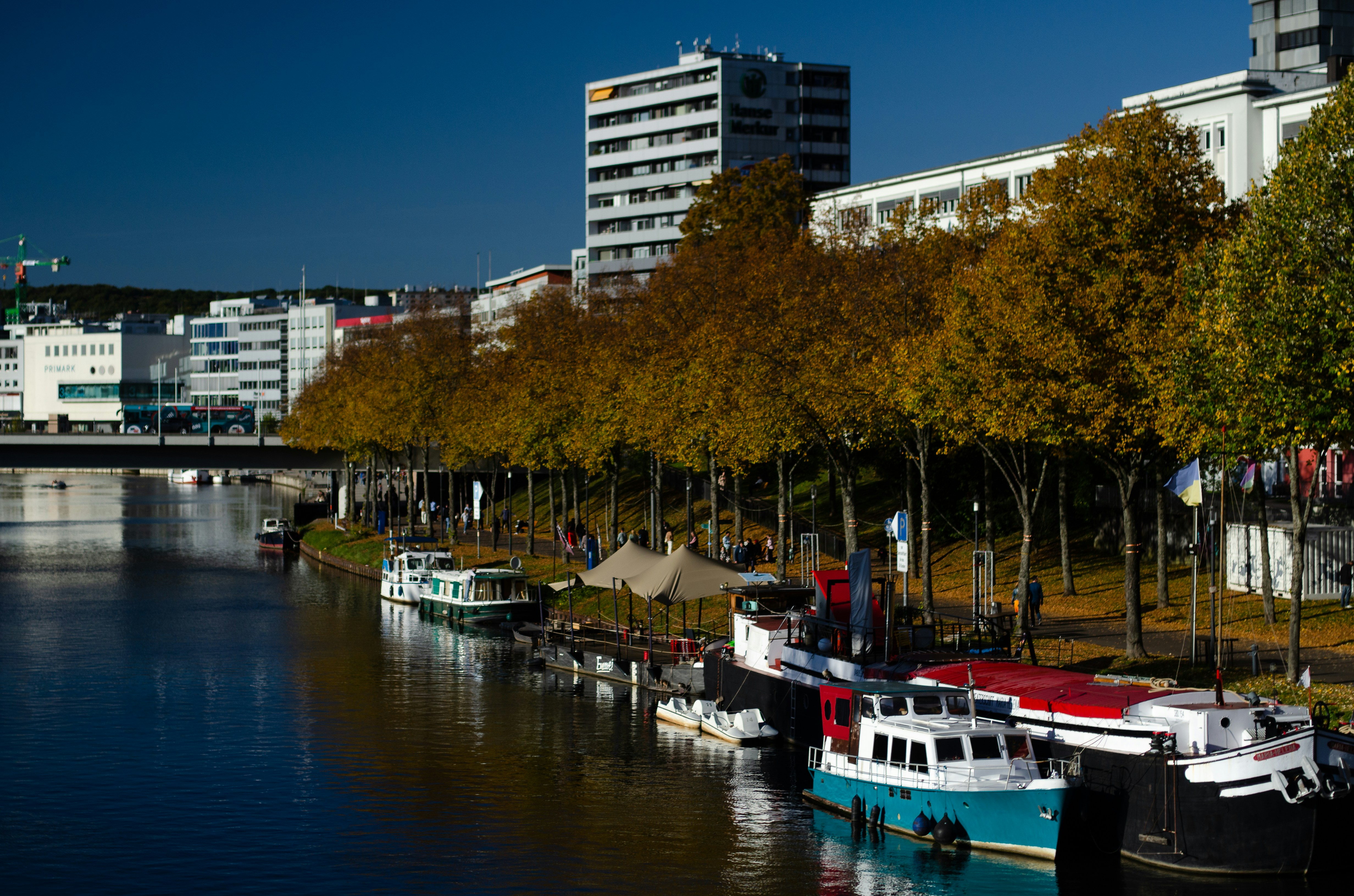 Blick auf die Saar in Saarbrücken mit Booten am Ufer, einer Baumallee und modernen Gebäuden im Hintergrund.