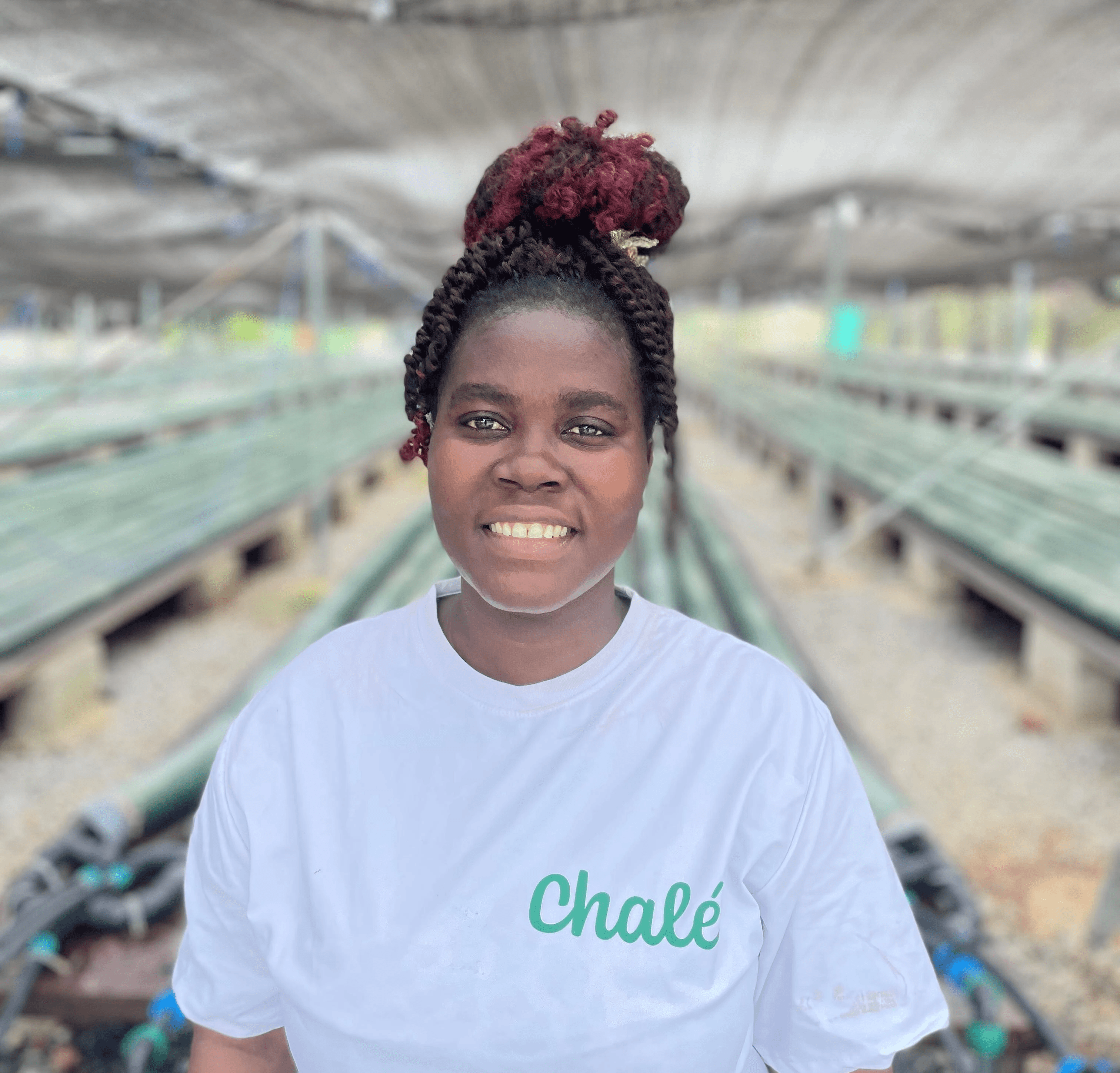 Floris Zevenbergen works as Head of Finance & Sales at Chalé Spirulina