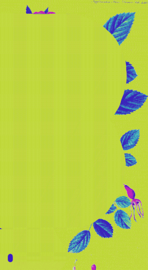 design pic