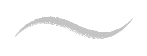 Harsh Render