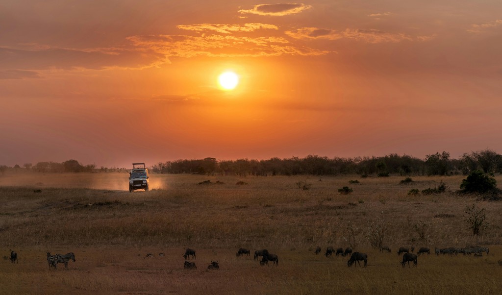 Safari Landscape