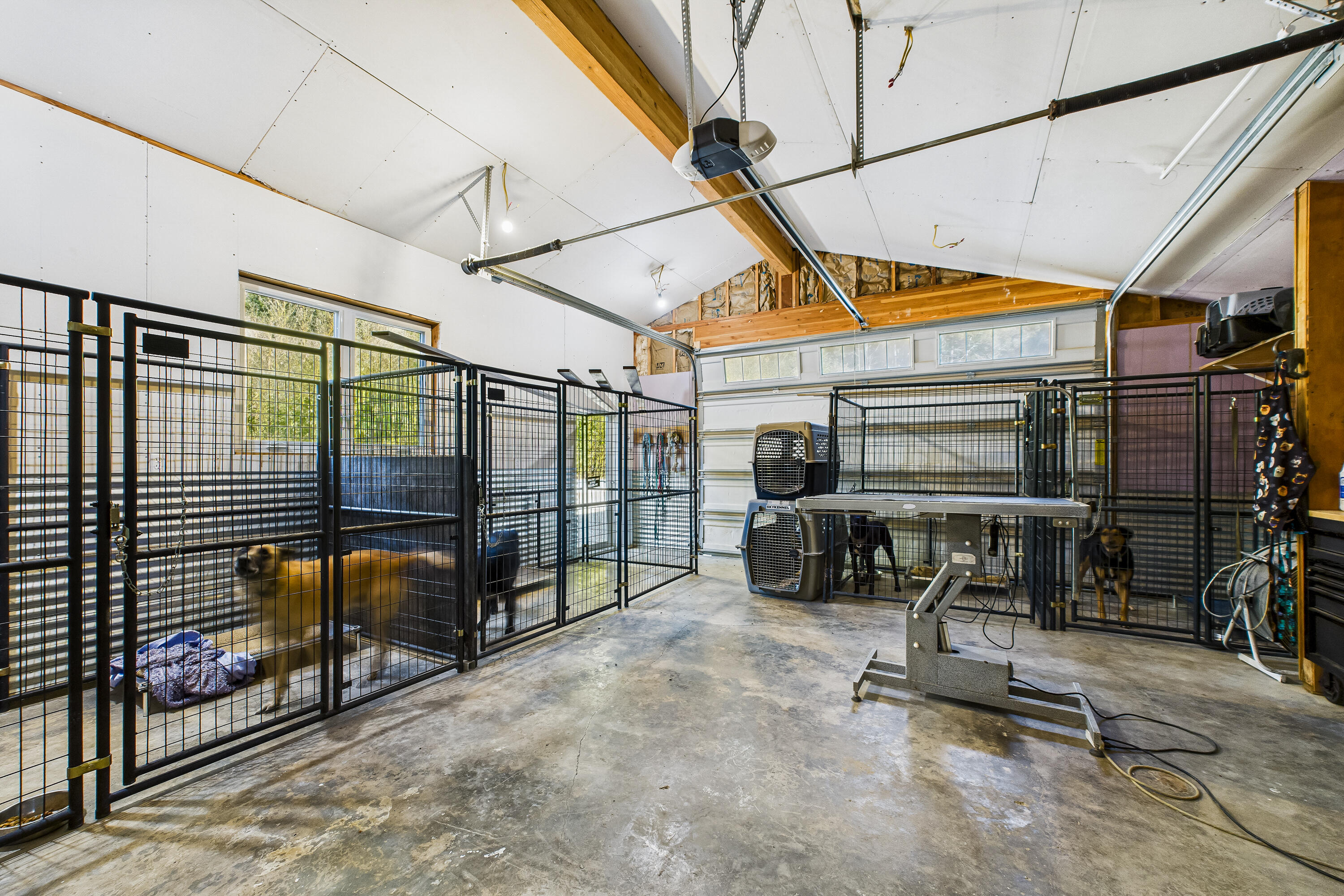 Thumbnail 46