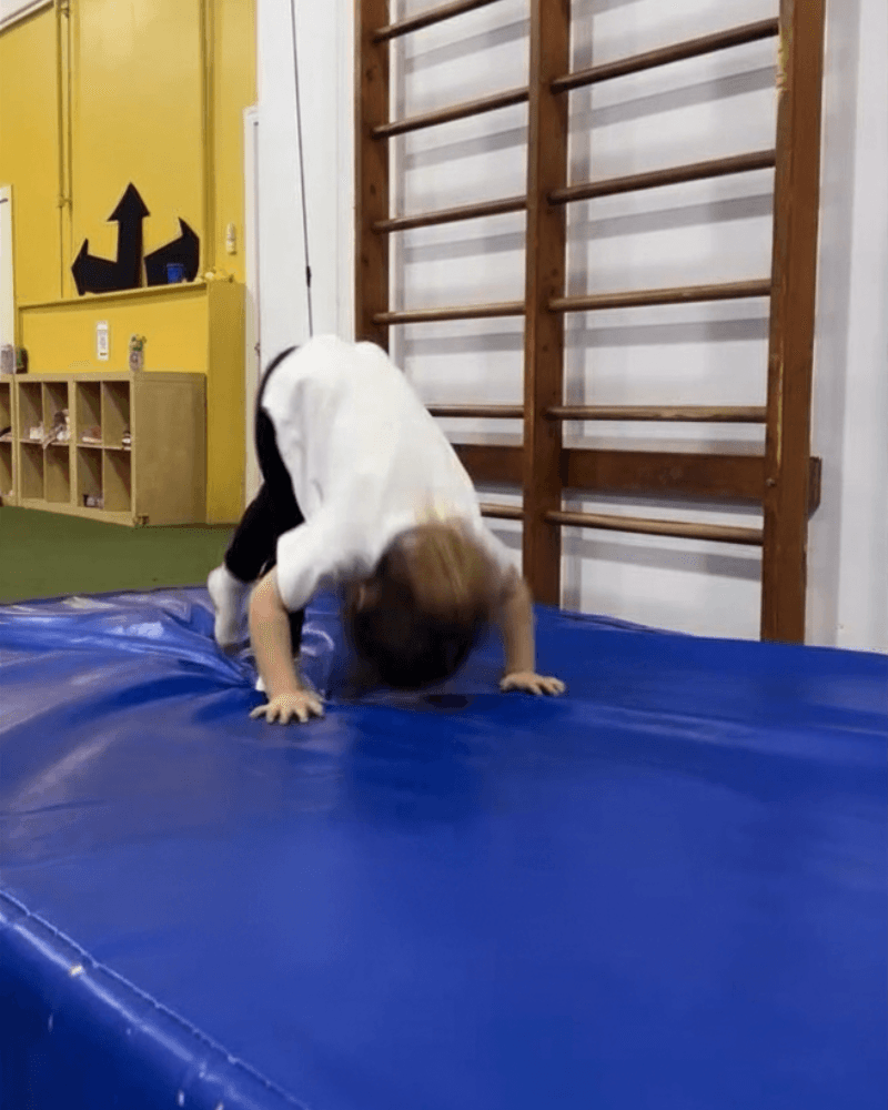 Kids preschool gymnastics program at SportPlus Academy Indian Trail