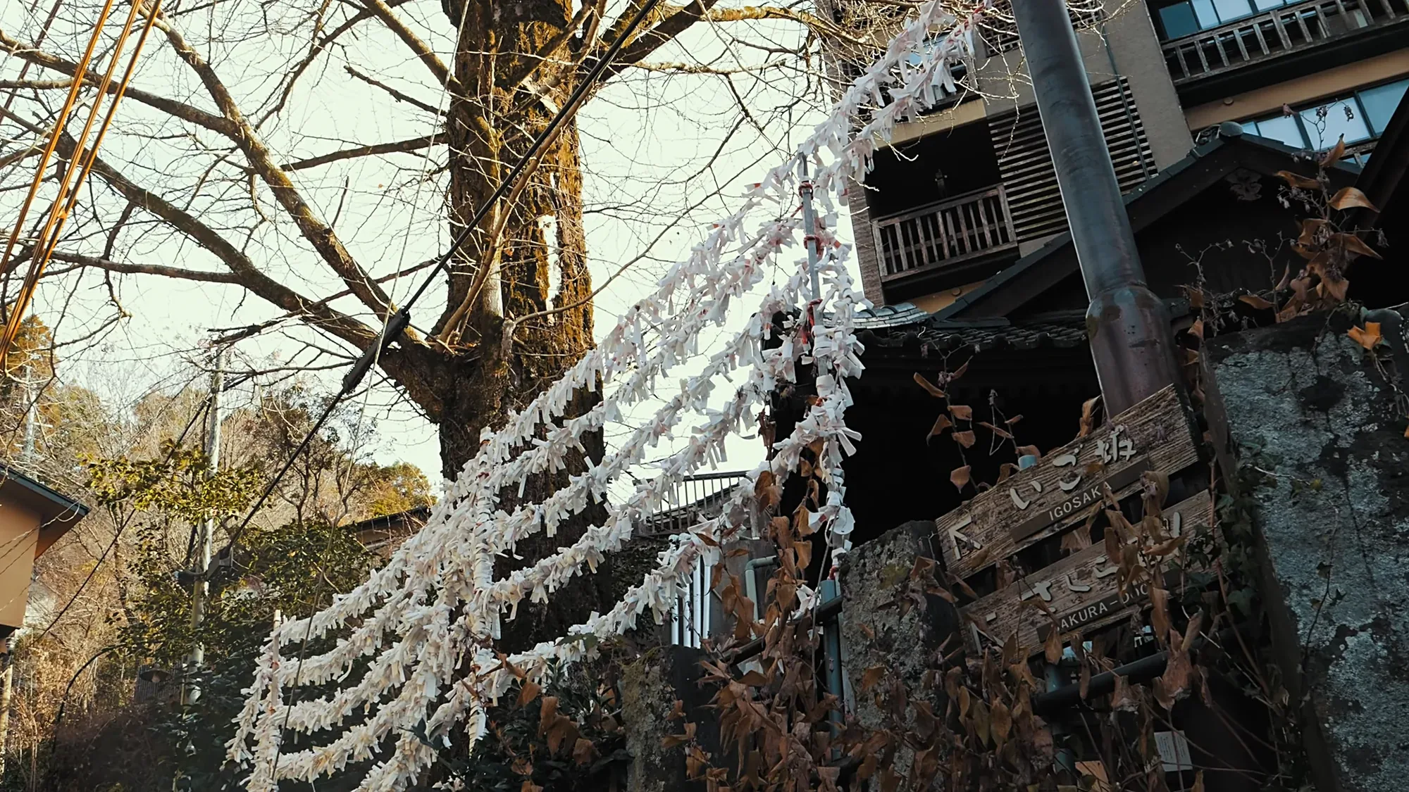 Shide paper streamers strung beside an inn at Kurokawa Onsen