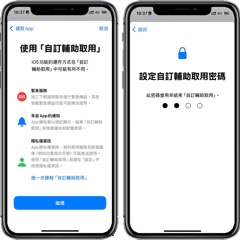 選擇 iPhone 畫面佈局外觀