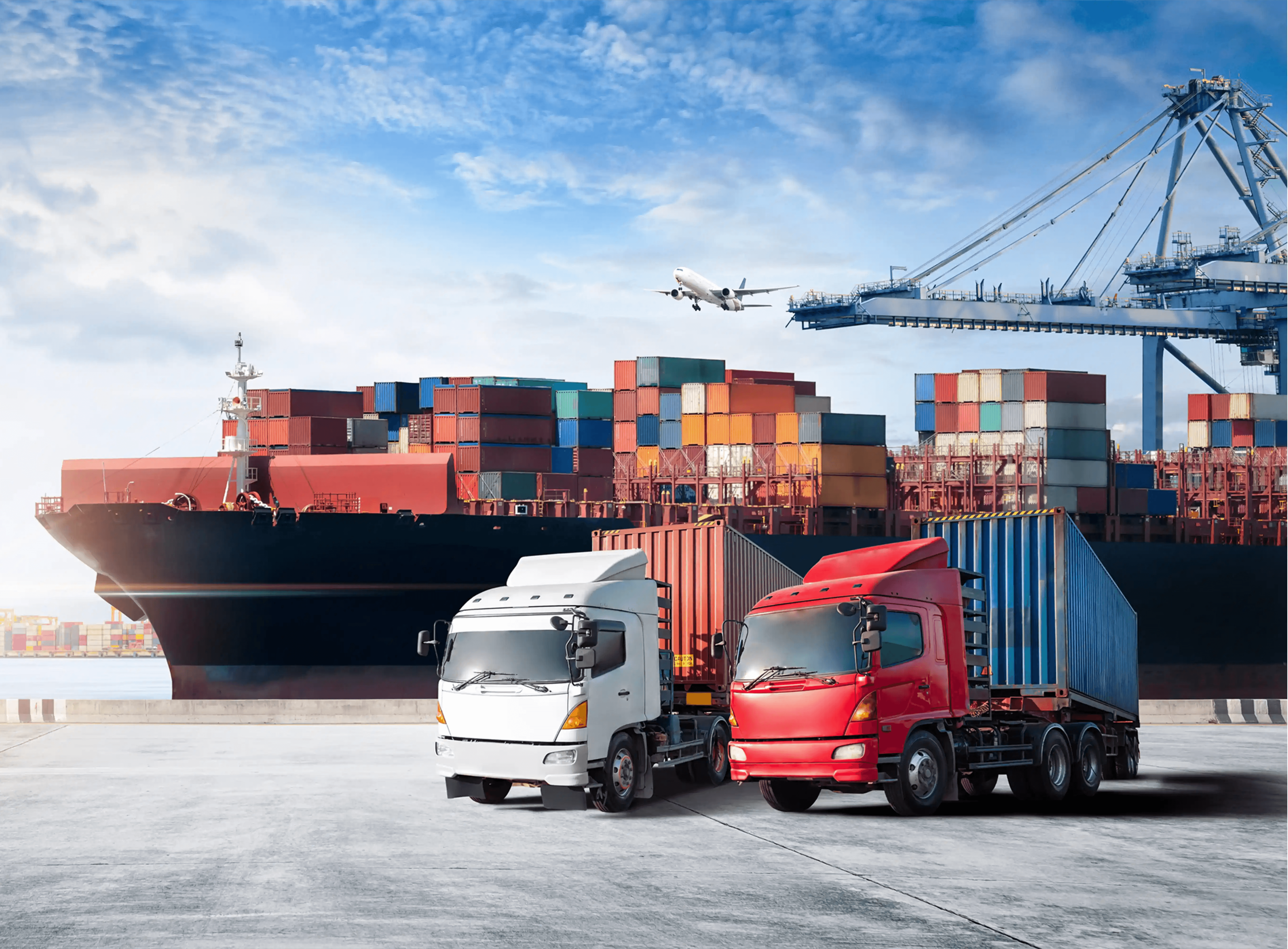 Logistics and Supply Chain