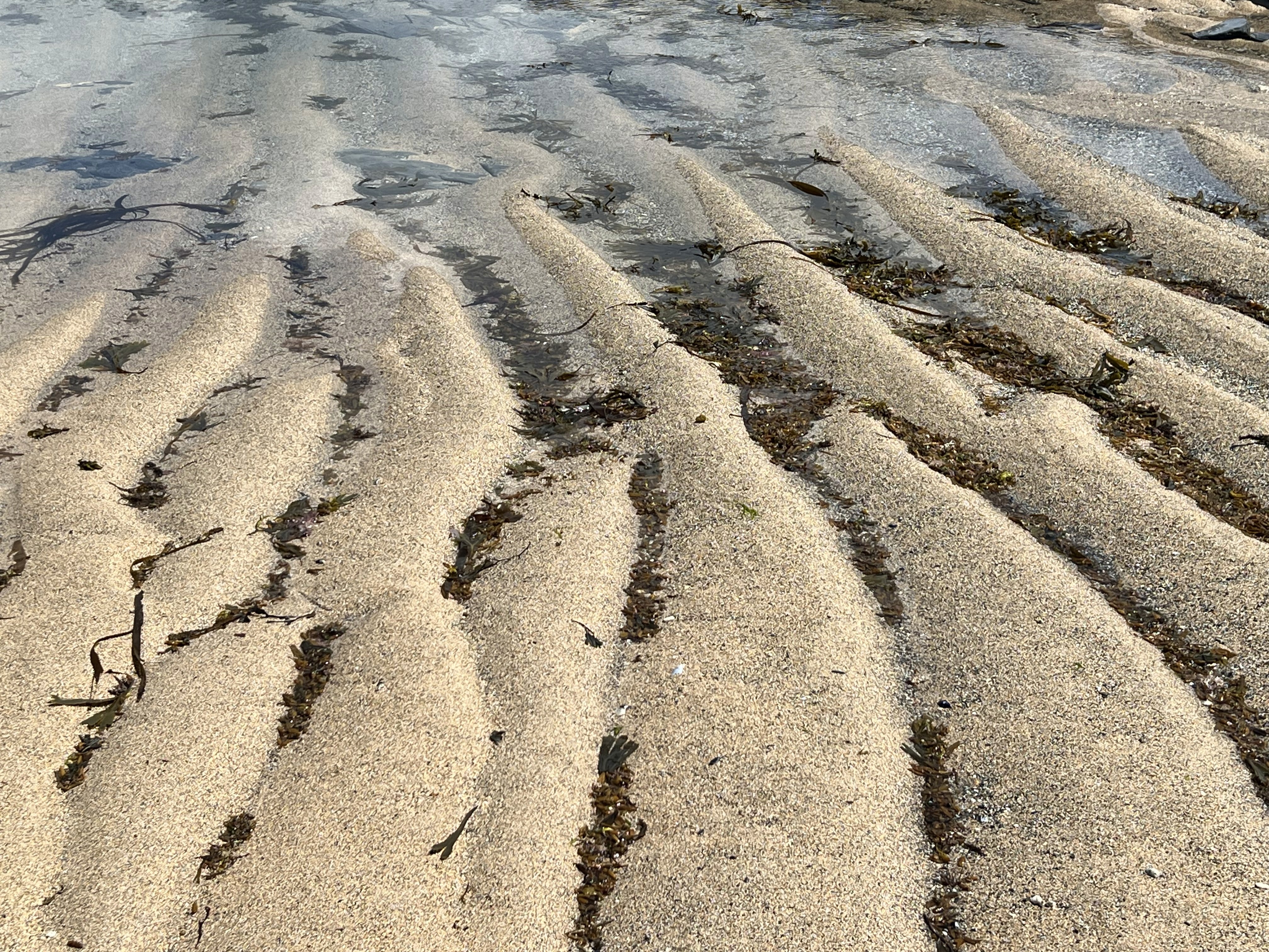 blue sky and white clouds over the sea
