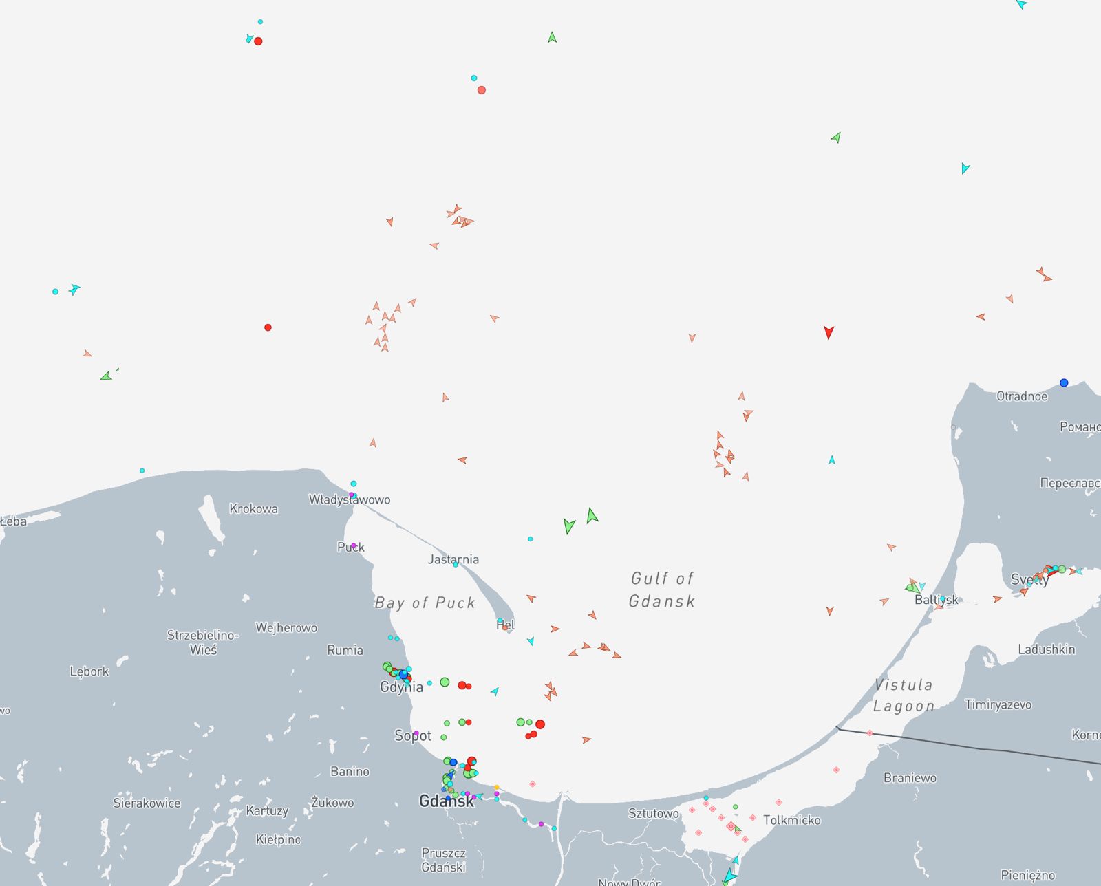 Black and white photo of man posing on camera