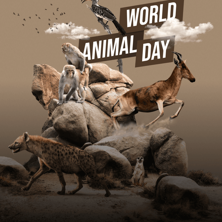 Animal Rights Movement