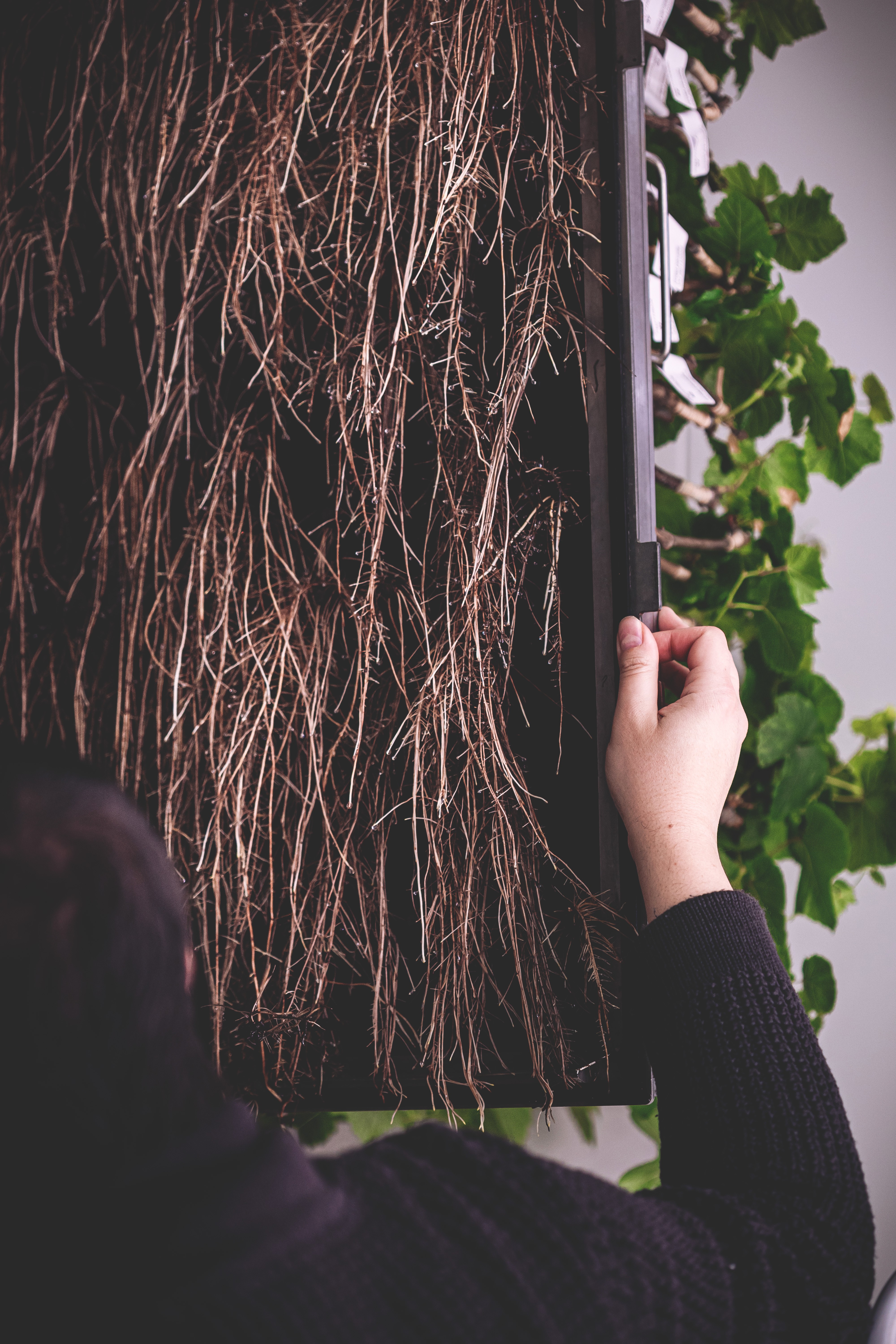 Smiling young man with short hair poses against a dark background, wearing a green button-up shirt.