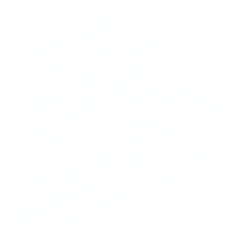 2nd Ave Sports