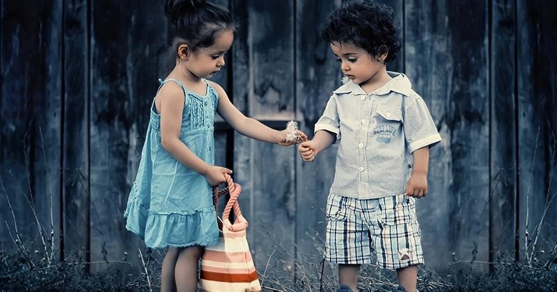 liking persuasion persuasive robert cialdini