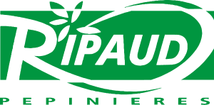 RIPAUD PEPINIERES