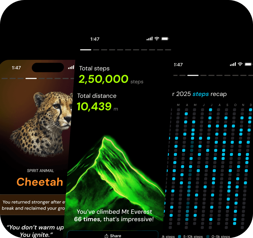 Daily limit card showing $2,500 spent, representing 12.5% of the total limit