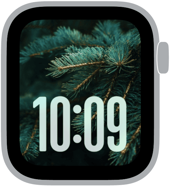 Evergreen Christmas Apple Watch face inspired by winter pine forests