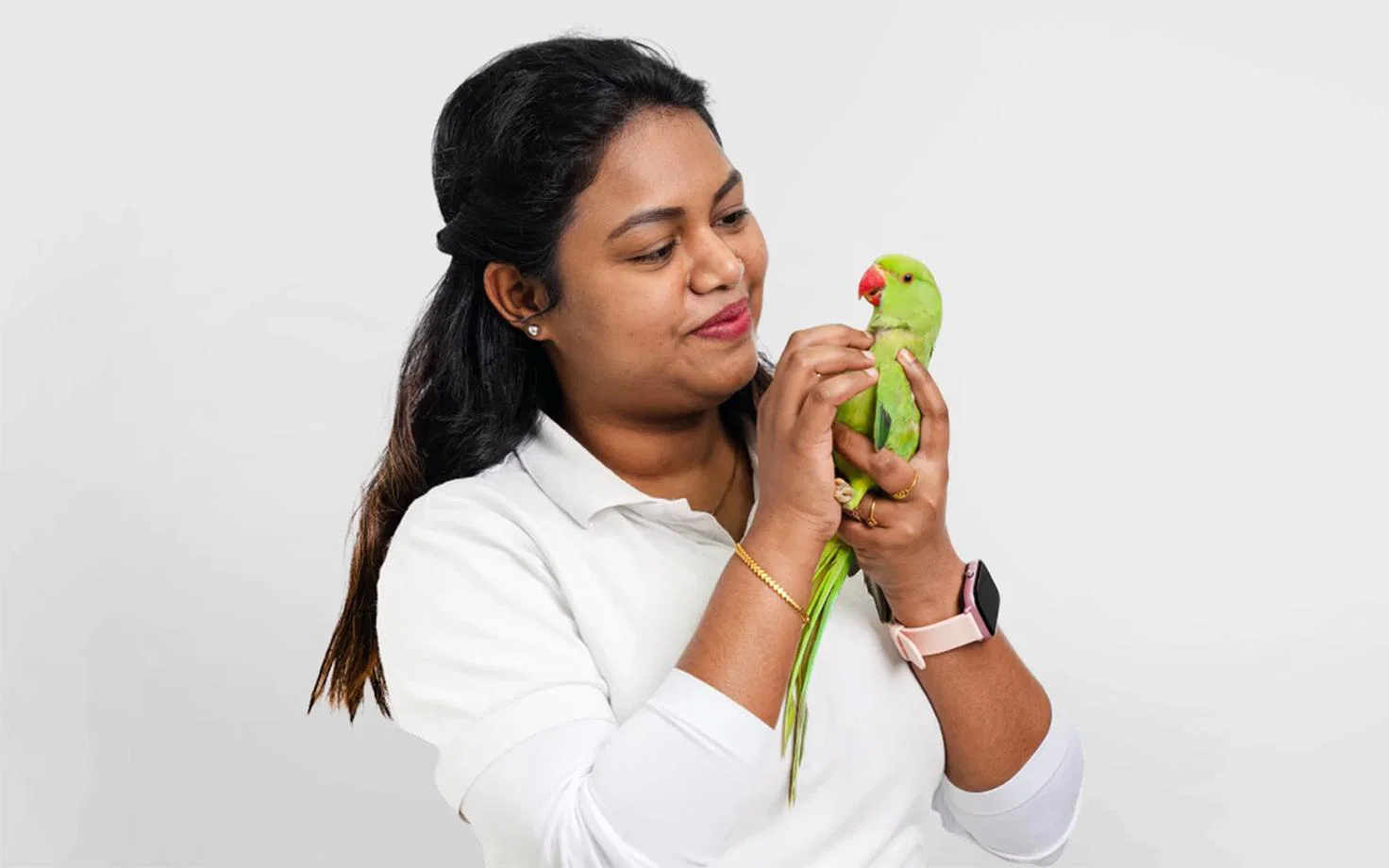 A bird patient at our vet clinic is checked on by our expert avian veterinarian