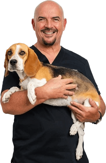 An image of Dr. Nenad holding a dog in his arms.
