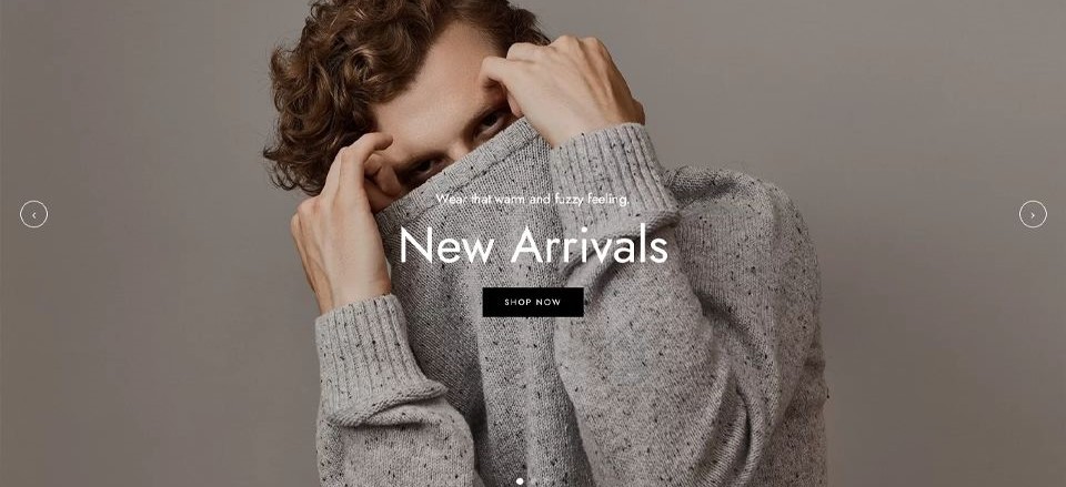 established fashion e-commerce business for sale
