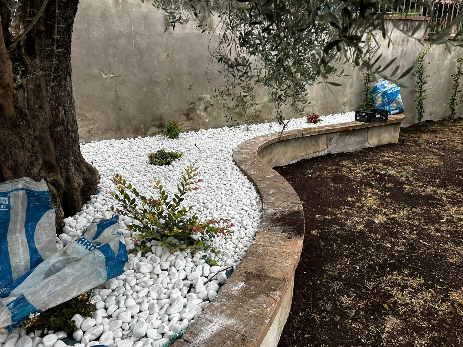 una aiuola rifinita per ospitare piante decorative