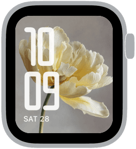 spring tulips Apple Watch face preview 4 featuring floral, watercolor, and spring.
