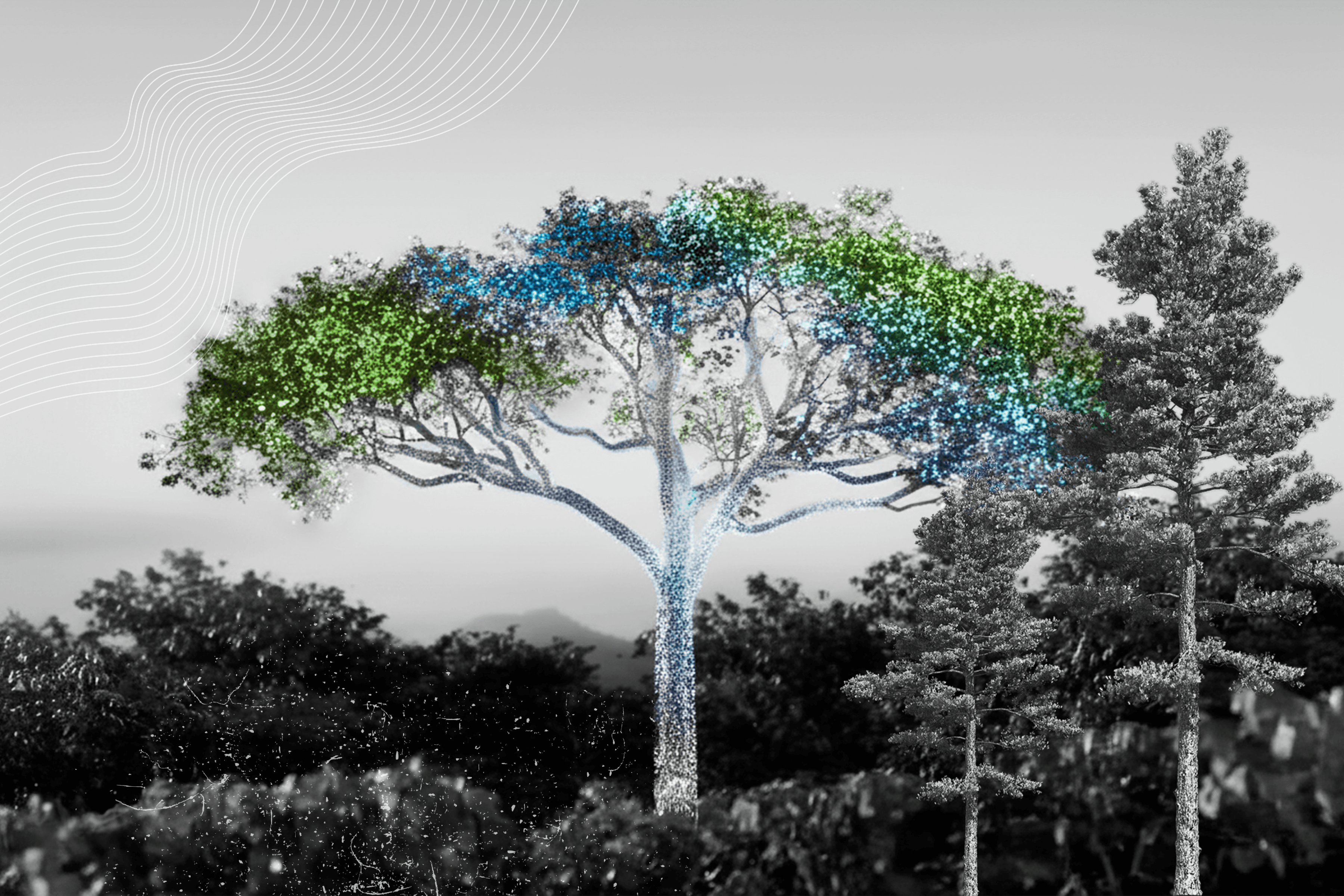 Tree lit up green