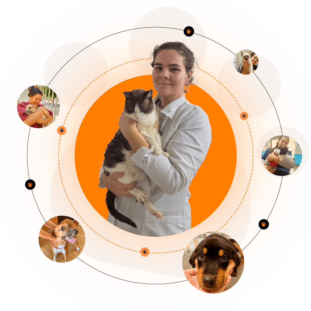 Veterinária profissional em cambará